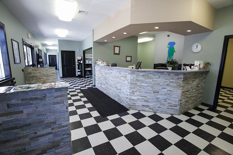 Veterinary services at Sugar River Animal Hospital