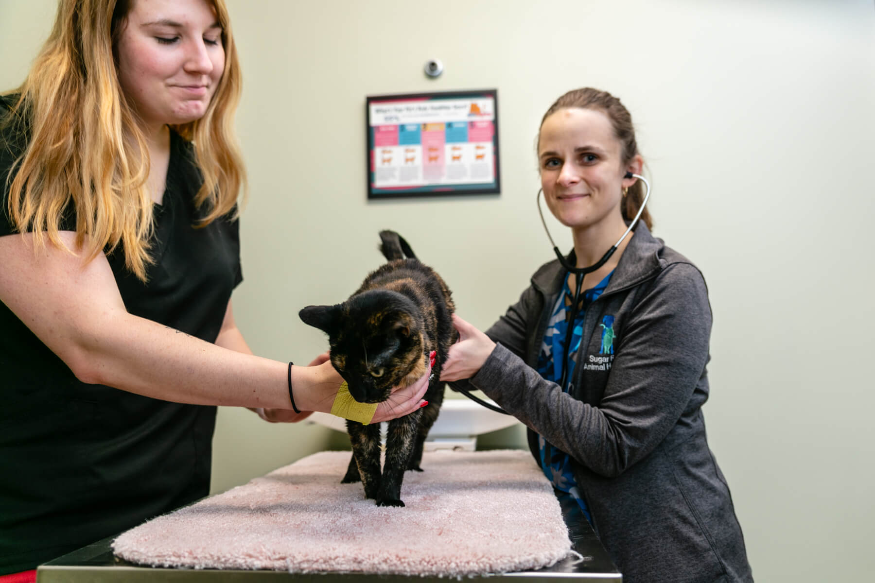 Loving our patients