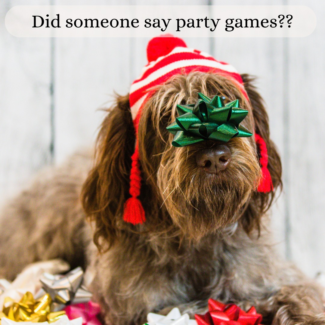 holiday party at Sugar River Animal Hospital 2024