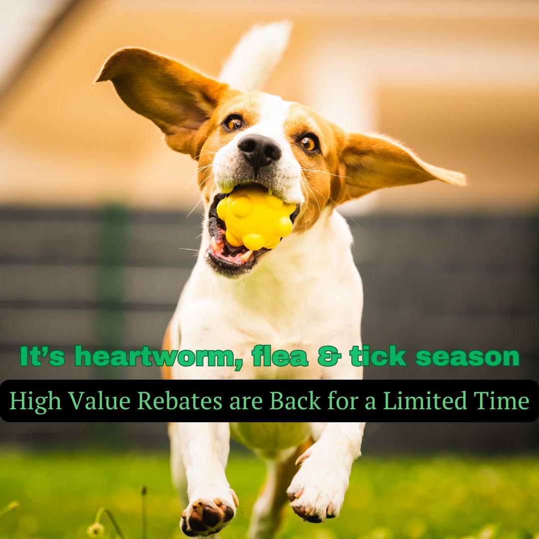 Its flea and tick season at Sugar River Animal Hospital