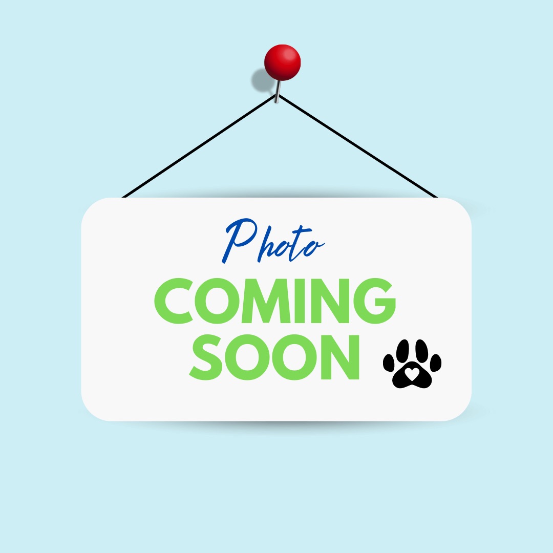 Photo Coming Soon