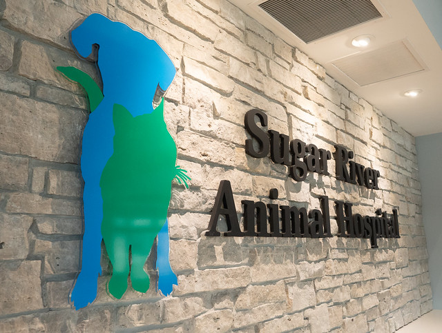 Sugar River Animal Hospital - Hospital Tour