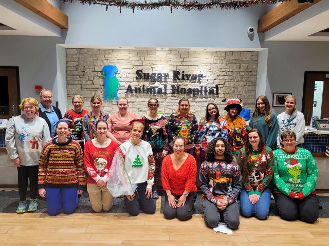 The Sugar River Animal Hospital team at their holiday party