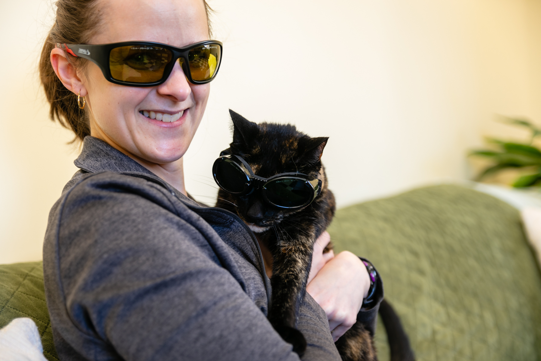 Laser therapy in cats