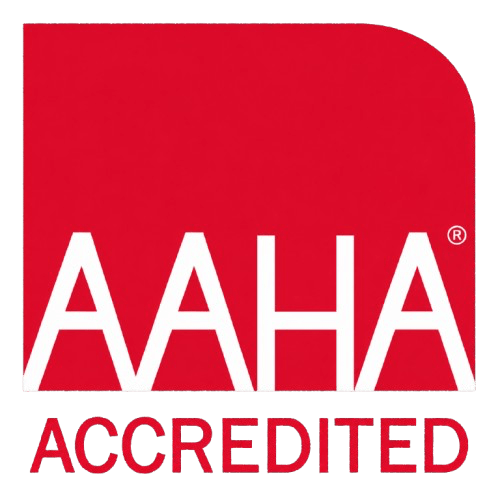 AAHA Accredited veterinary practice