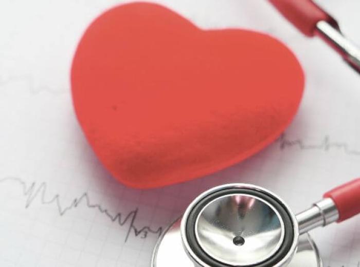A Veterinarian's Insight into Dog Cardiology: Understanding Heart Health in Canines