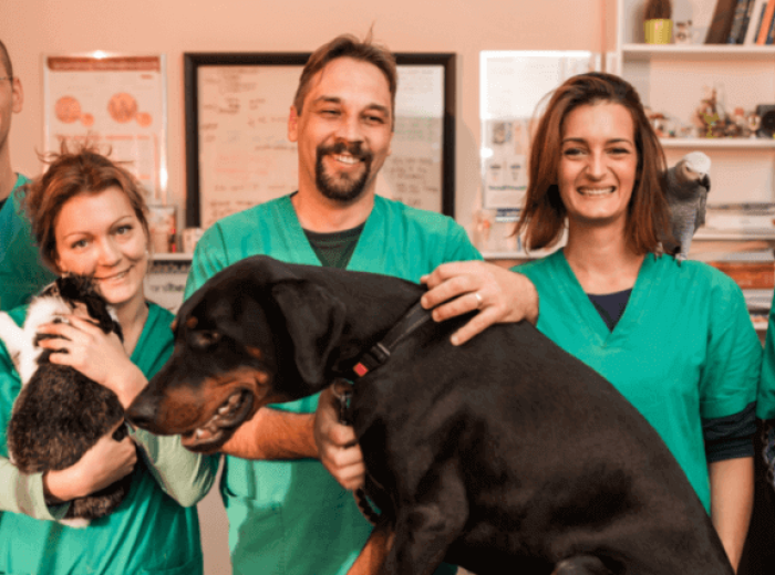 The Benefits of Using an AAHA-Accredited Veterinary Hospital