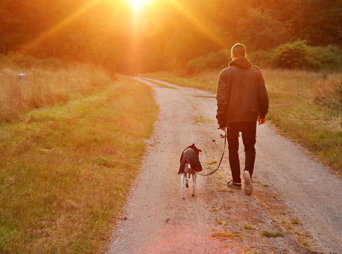 Hospice Care and Euthanasia: When It’s Time to Say Goodbye