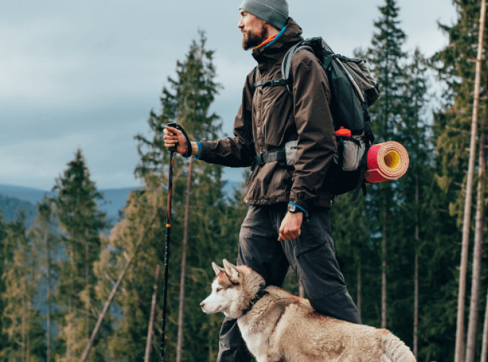 Dog Exercise Tips: How to Hike With Your Hound