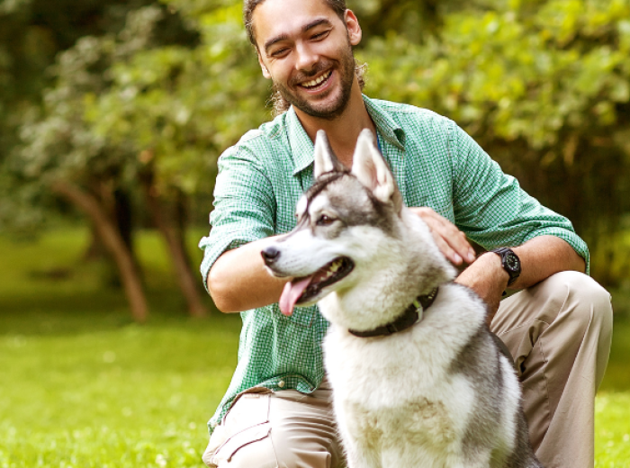 How To Find The Best Pet Trainer