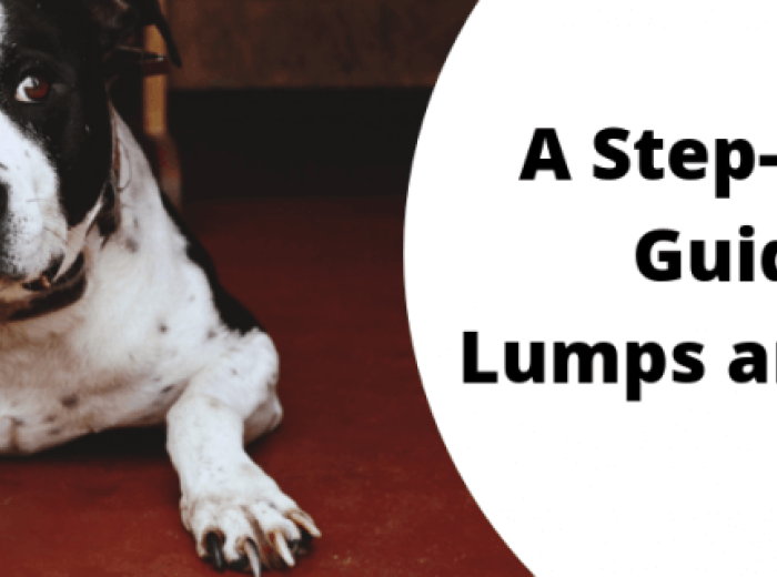 A Step-by-Step Guide to Lumps and Bumps