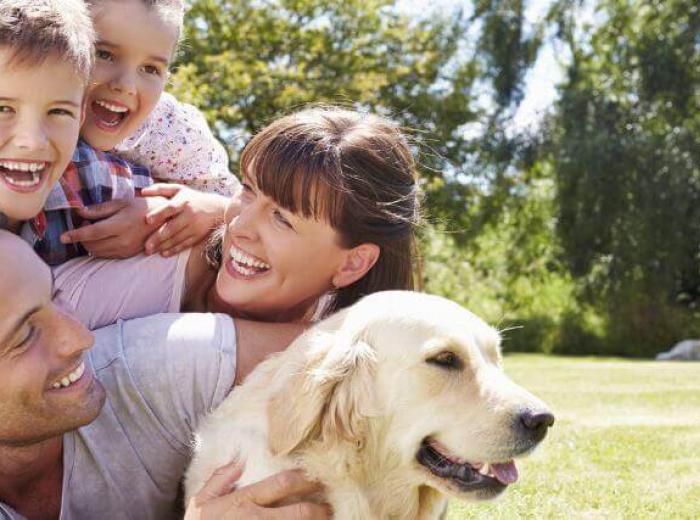 6 Mental Health Benefits of Owning a Dog in Honor of National Dog Day!