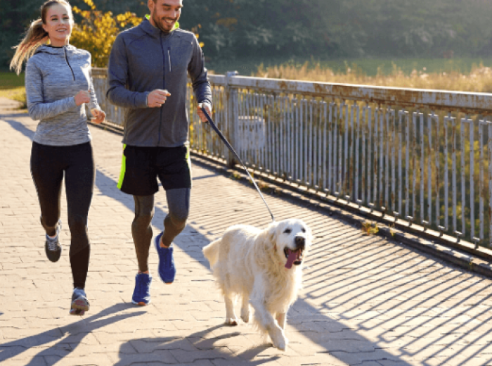 The Best Dog Breeds for Runners