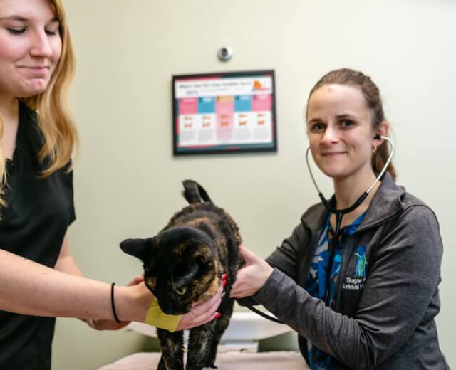 Wellness Care