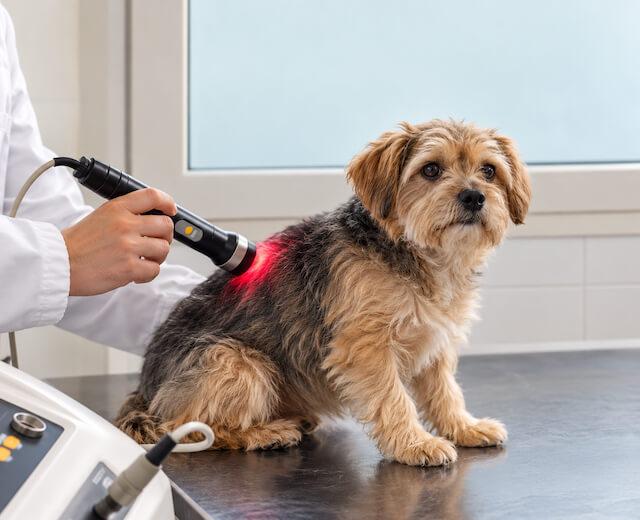 Laser Therapy