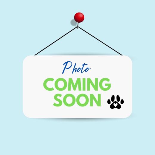 Photo Coming Soon